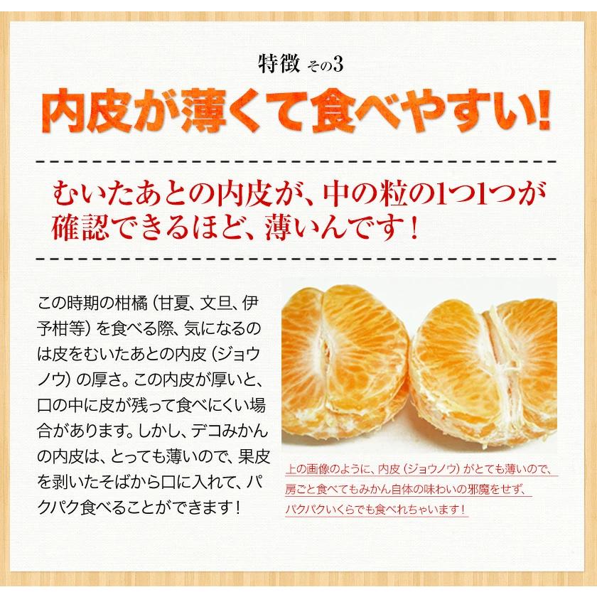 訳あり デコみかん デコポン と同品種 送料無料 家庭用 不知火 訳あり デコみかん デコポン と同品種 送料無料 家庭用 不知火