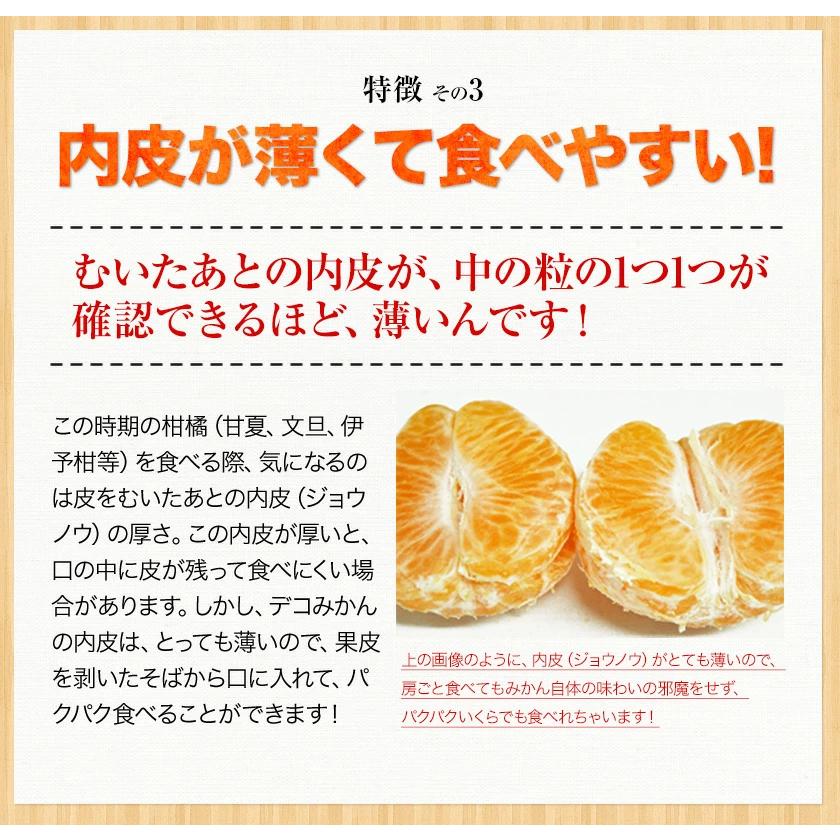 今シーズン残りわずか 訳あり デコみかん デコポン と同品種 送料無料 家庭用 不知火 みかん 1.5kg 熊本県産 7-14営業以内発送予定(土日祝除く)｜kumamotofood｜14