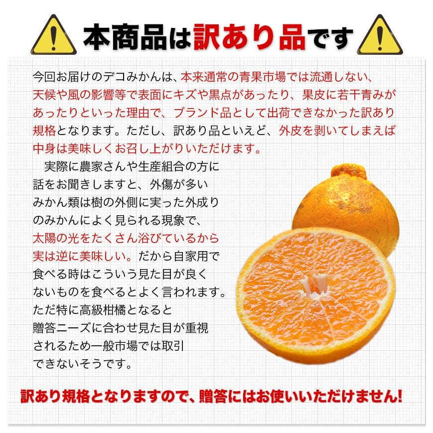 訳あり デコみかん デコポン と同品種 送料無料 家庭用 不知火 訳あり デコみかん デコポン と同品種 送料無料 家庭用 不知火