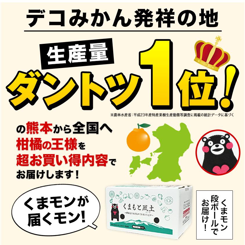 今シーズン残りわずか 訳あり デコみかん デコポン と同品種 送料無料 家庭用 不知火 みかん 1.5kg 熊本県産 7-14営業以内発送予定(土日祝除く)｜kumamotofood｜16