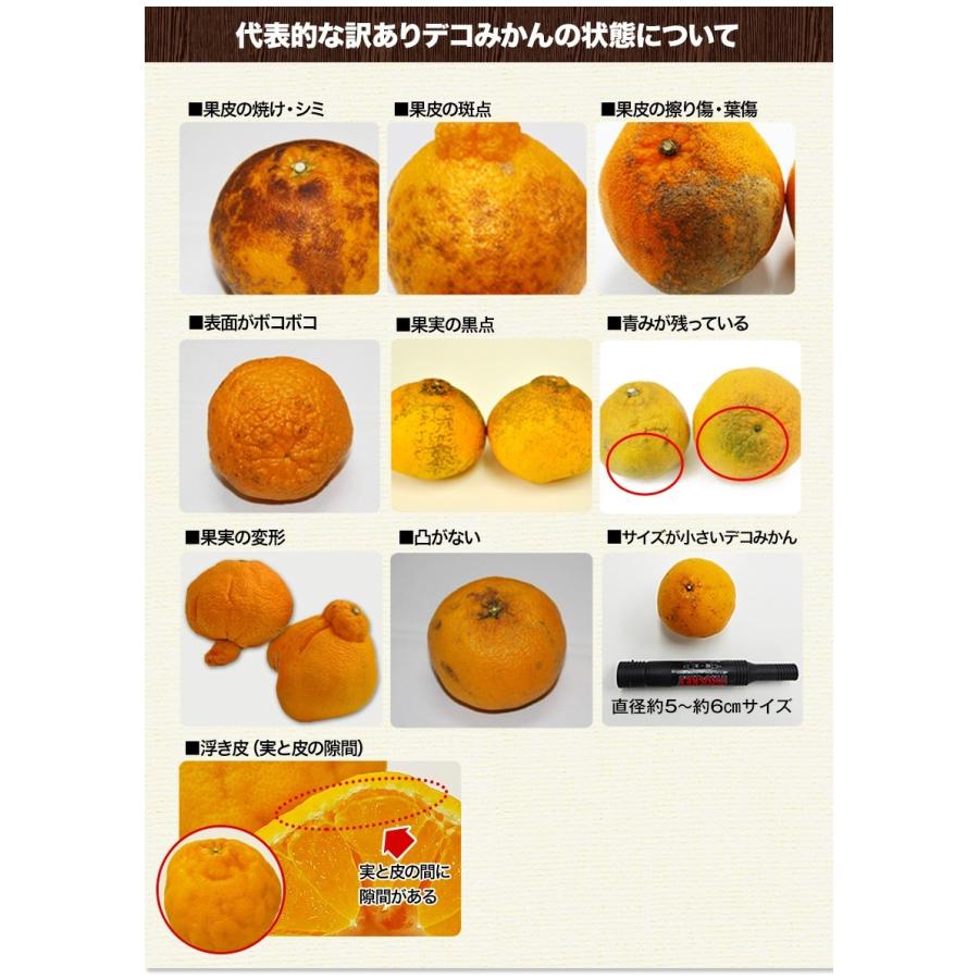 訳あり デコみかん デコポン と同品種 送料無料 家庭用 不知火 訳あり デコみかん デコポン と同品種 送料無料 家庭用 不知火