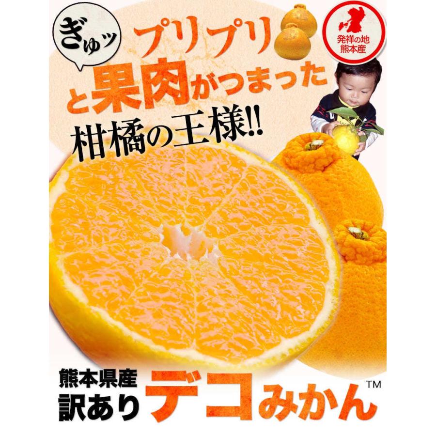 訳あり デコみかん デコポン と同品種 送料無料 家庭用 不知火 訳あり デコみかん デコポン と同品種 送料無料 家庭用 不知火