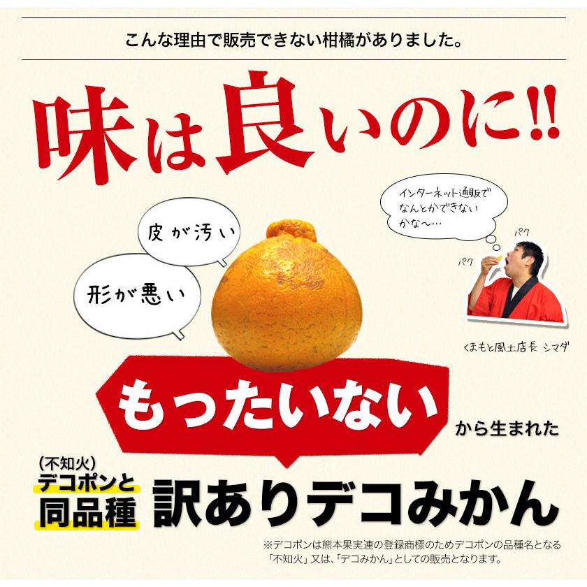 訳あり デコみかん デコポン と同品種 送料無料 家庭用 不知火 訳あり デコみかん デコポン と同品種 送料無料 家庭用 不知火