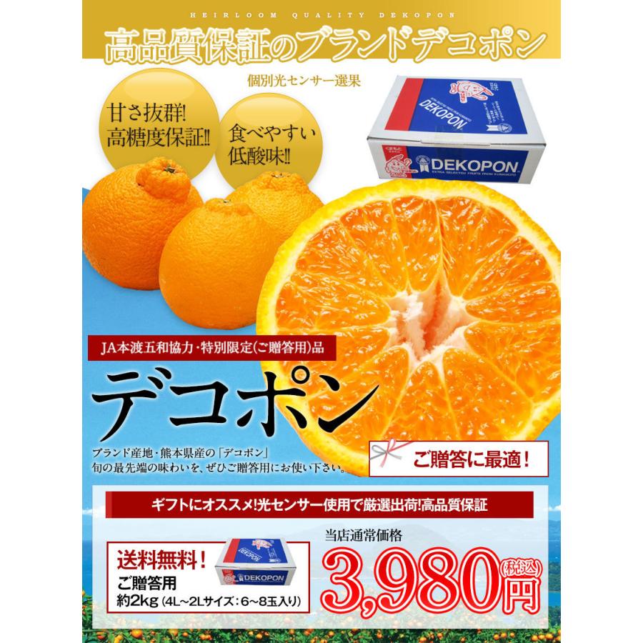 デコポン 贈答用 ギフト 不知火 送料無料 熊本県産 約1.8kg前後-約2kg前後 プレゼント みかん ギフト 光センサー選果 2月下旬-3月中旬頃に発送予定｜kumamotofood｜02