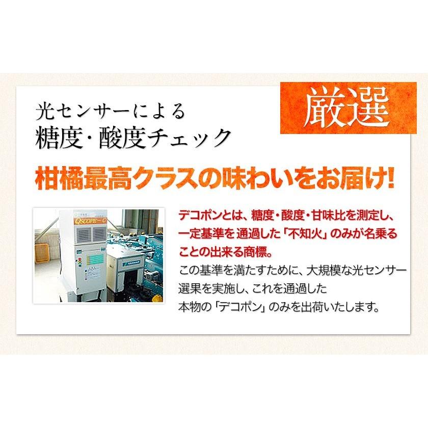 デコポン 贈答用 ギフト 不知火 送料無料 熊本県産 約1.8kg前後-約2kg前後 プレゼント みかん ギフト 光センサー選果 2月下旬-3月中旬頃に発送予定｜kumamotofood｜09