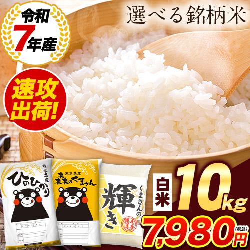 米 お米 選べる 10kg 白米 令和7年産 熊本県産 銘柄米 送料無料 ひのひかり 森のくまさん 爆買 1-3営業日以内に発送 土日祝除く|（Yahoo!・ご当地風土 ヤフー店）