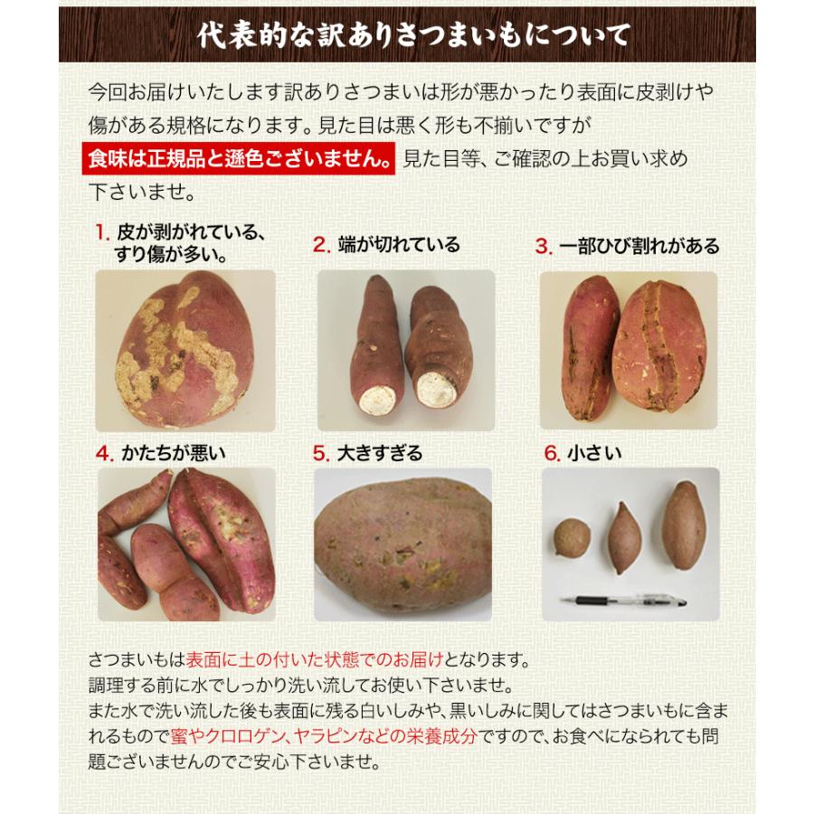 セール 1234円⇒1111円 選べる さつまいも 訳あり 安納芋 紅はるか シルクスイート 送料無料  種子島産 芋 サイズ不揃い 1-5営業以内発送予定(土日祝除く) |｜kumamotofood｜15