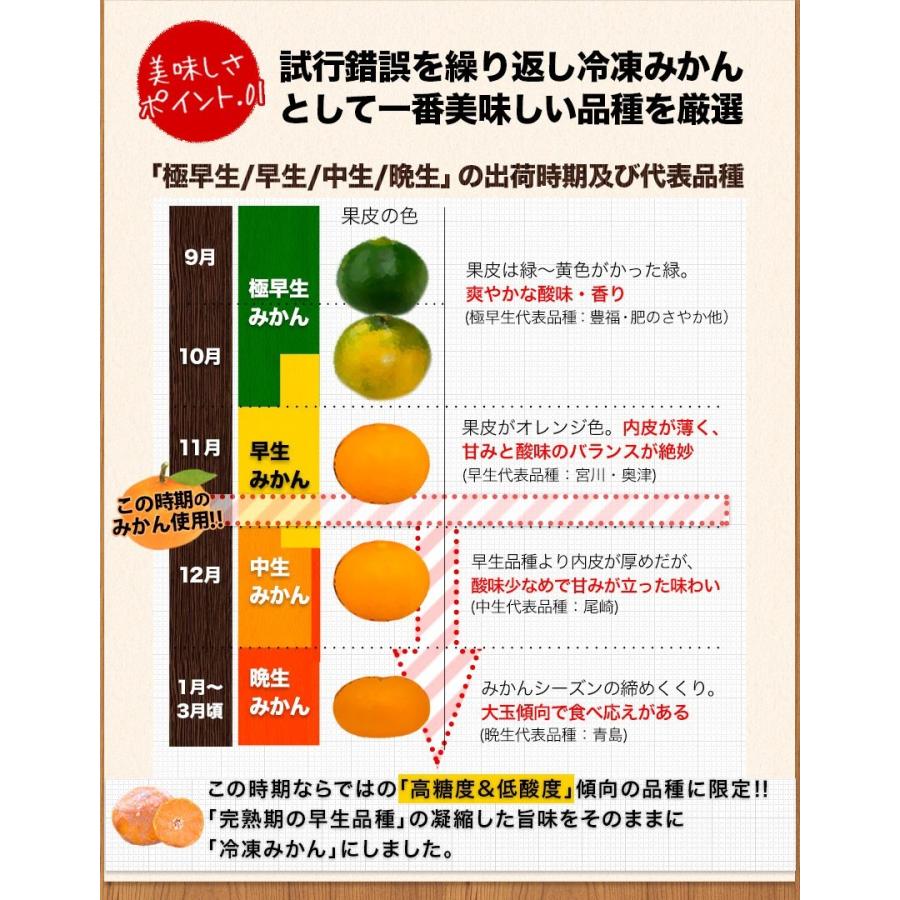 セット購入でおまけ付き 冷凍 小玉 みかん 皮付き 熊本県産 1.5kg 500g×3袋 送料無料 フルーツ シャーベット アイス 7-14営業以内発送予定(土日祝除く)｜kumamotofood｜11