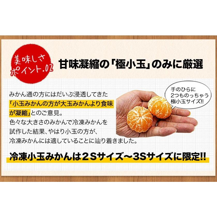 冷凍 小玉 みかん 皮付き 熊本県産 1.5kg 500g×3袋 送料無料