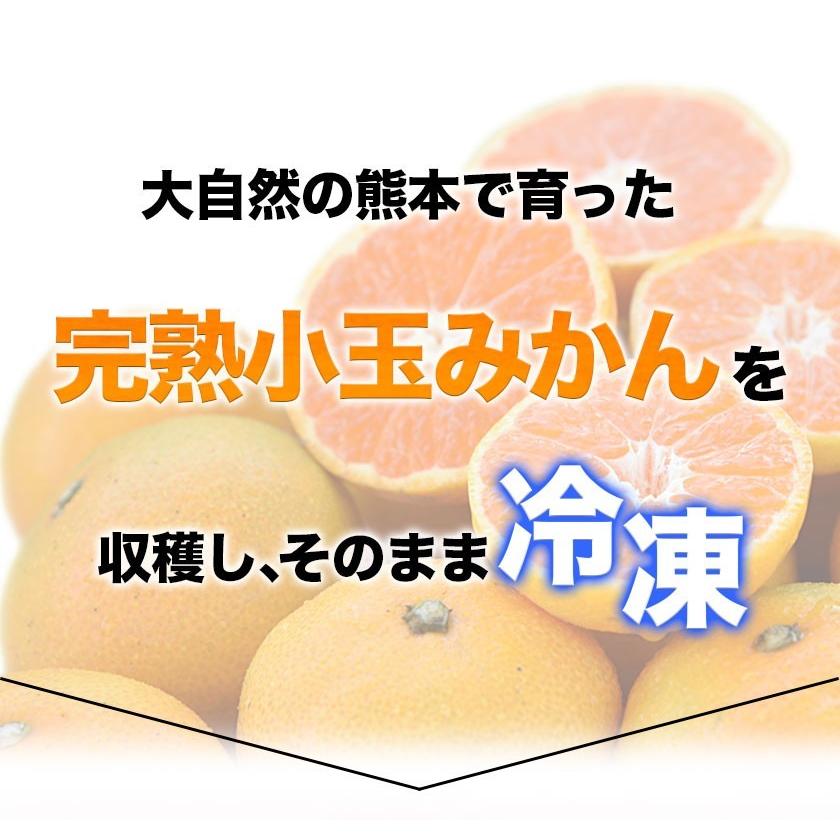 冷凍 小玉 みかん 皮付き 熊本県産 1.5kg 500g×3袋 送料無料 フルーツ