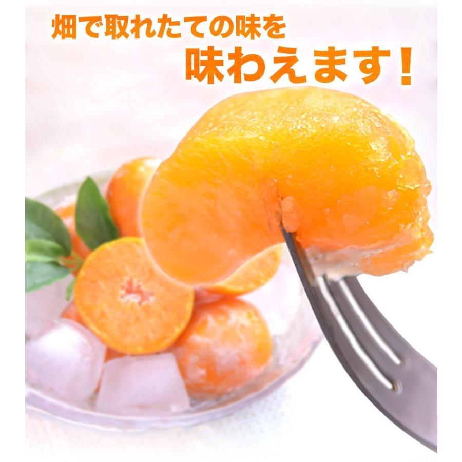 冷凍 小玉 みかん 皮付き 熊本県産 1.5kg 500g×3袋 送料無料