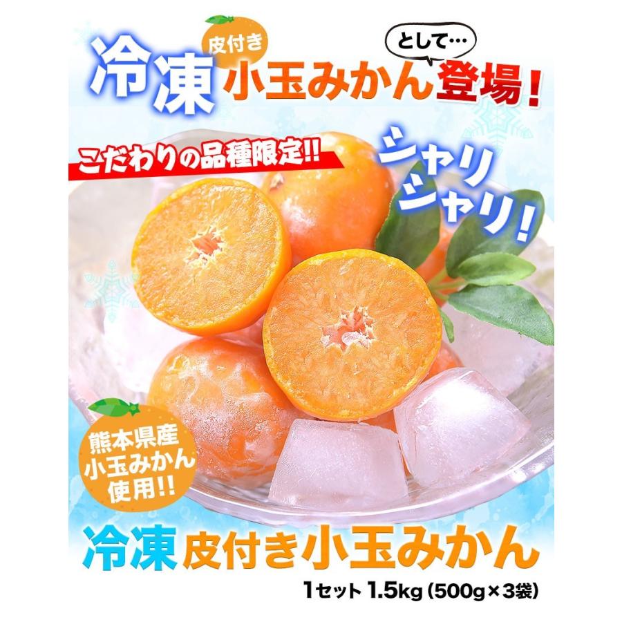 セット購入でおまけ付き 冷凍 小玉 みかん 皮付き 熊本県産 1.5kg 500g×3袋 送料無料 フルーツ シャーベット アイス 7-14営業以内発送予定(土日祝除く)｜kumamotofood｜03