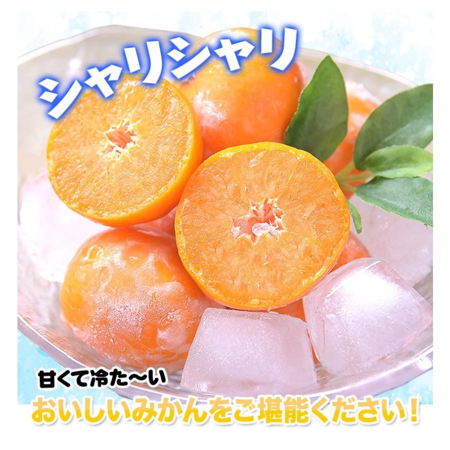 セット購入でおまけ付き 冷凍 小玉 みかん 皮付き 熊本県産 1.5kg 500g×3袋 送料無料 フルーツ シャーベット アイス 7-14営業以内発送予定(土日祝除く)｜kumamotofood｜21