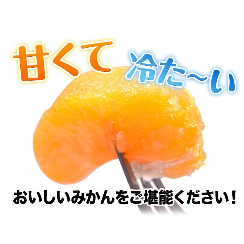 セット購入でおまけ付き 冷凍 小玉 みかん 皮付き 熊本県産 1.5kg 500g×3袋 送料無料 フルーツ シャーベット アイス 7-14営業以内発送予定(土日祝除く)｜kumamotofood｜04