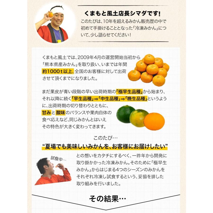 冷凍 小玉 みかん 皮付き 熊本県産 1.5kg 500g×3袋 送料無料