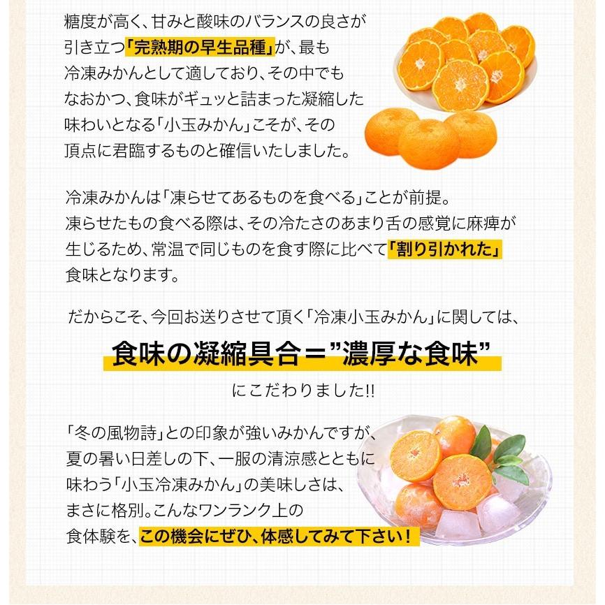 セット購入でおまけ付き 冷凍 小玉 みかん 皮付き 熊本県産 1.5kg 500g×3袋 送料無料 フルーツ シャーベット アイス 7-14営業以内発送予定(土日祝除く)｜kumamotofood｜09