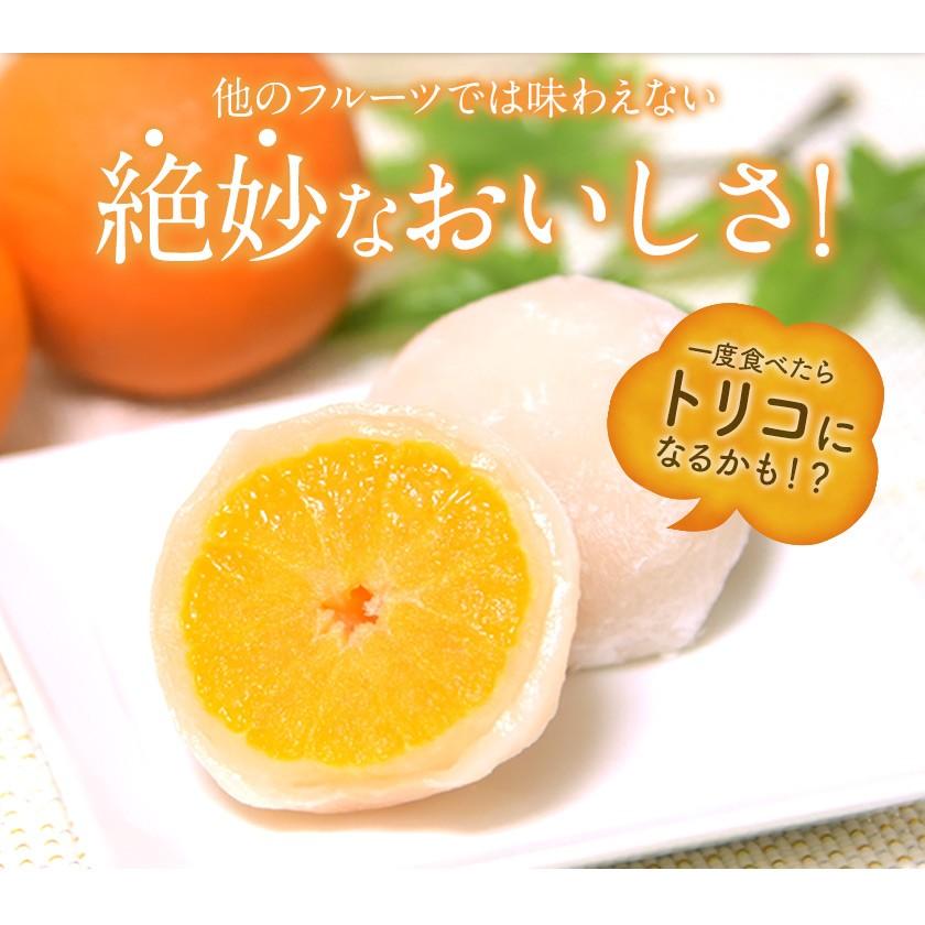 みかん 大福 9個 まるごと1玉 送料無料 熊本県産 小玉 みかん使用 スイーツ 和菓子 贈答 初売り 7-14営業日以内に出荷予定(土日祝日除く)｜kumamotofood｜12