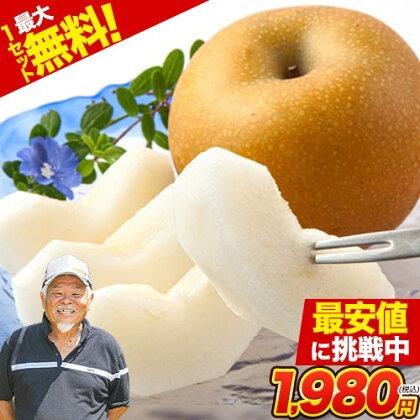 梨 福岡農園 なし 秋月 あきづき 今だけ300円off 3kg前後 5 10玉 熊本 果物 フルーツ 激安通販販売 7 14営業日以内に出荷予定 送料無料 土日祝日除く ギフト お取り寄せ