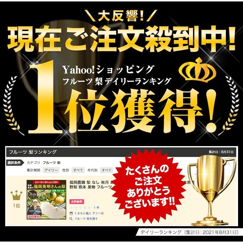 梨 福岡農園 なし 秋月 あきづき 今だけ300円off 3kg前後 5 10玉 熊本 果物 フルーツ 激安通販販売 7 14営業日以内に出荷予定 送料無料 土日祝日除く ギフト お取り寄せ
