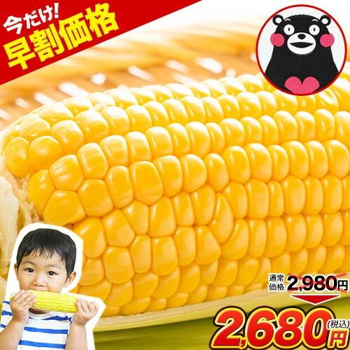 今だけ早割 とうもろこし スイートコーン 5本入り (3L~L サイズ) 朝採り 生で食べられる 送料無料 ゴールドラッシュ 恵味  6月中旬〜7月上旬頃より発送予定|（Yahoo!・ご当地風土 ヤフー店）