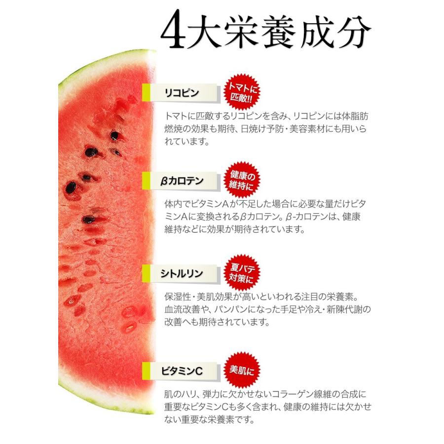 お中元 2025 すいか スイカ 訳あり 小玉スイカ 熊本県産 1玉 2L