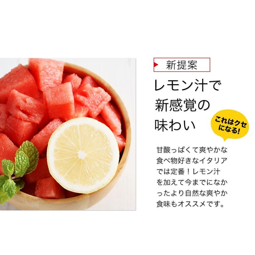 スイカ 熊本 父の日 送料無料 訳あり 小玉スイカ 熊本県産 1玉