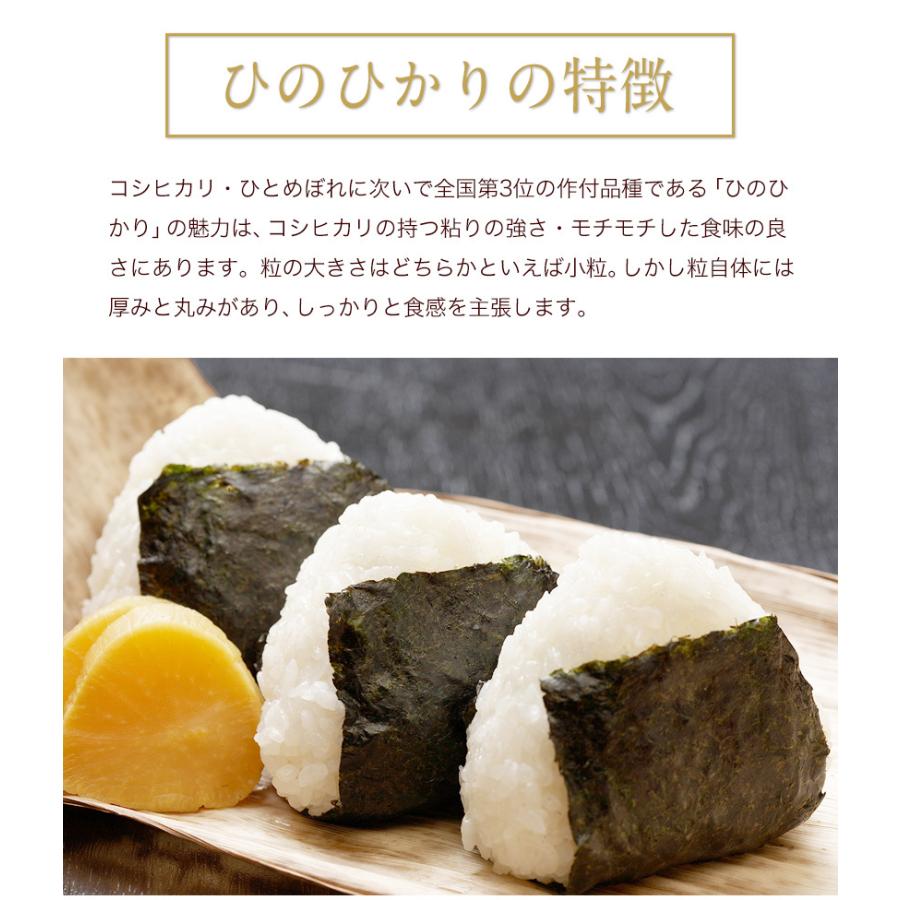 令和5年産 ひのひかり 10kg (5kg ×2袋)  米10kg 米 10kg お米 送料無料 熊本県産  精米 白米《1-5営業日以内に発送予定(土日祝日除く)》｜kumamotofood｜09