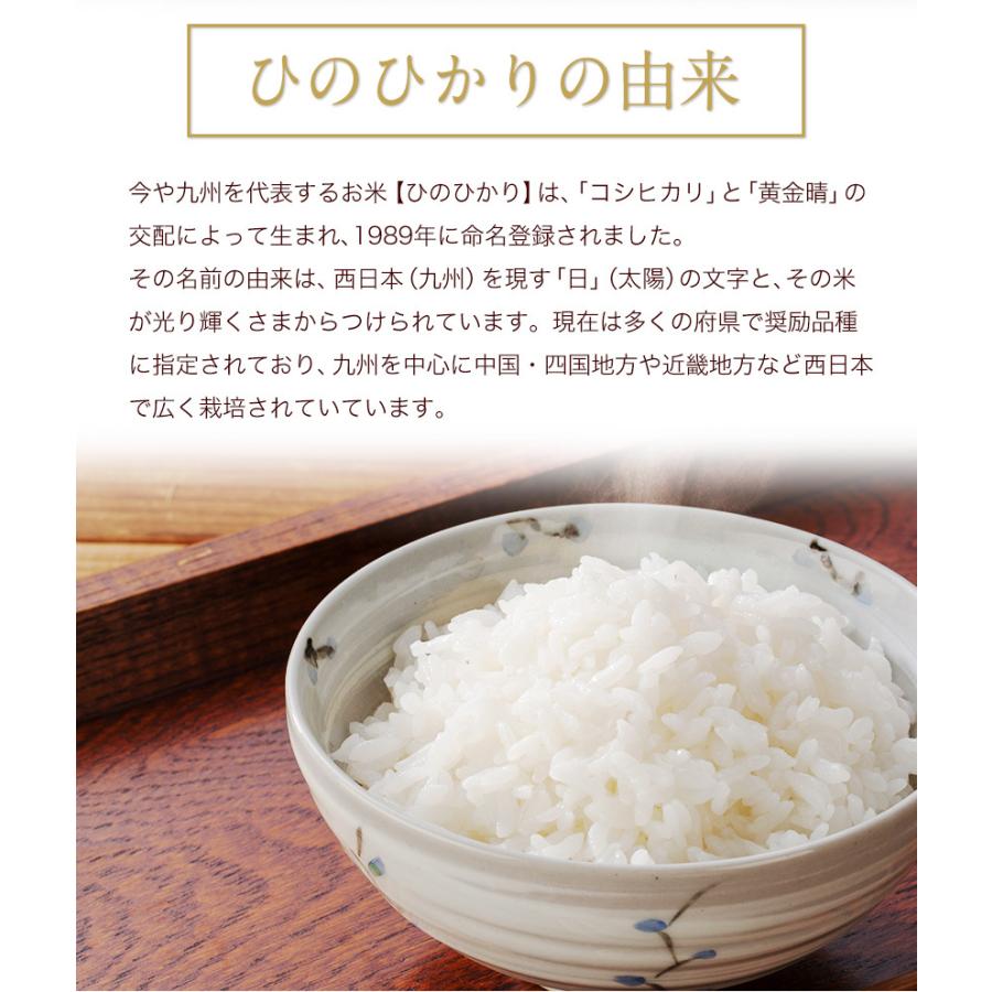 令和5年産 ひのひかり 10kg (5kg ×2袋)  米10kg 米 10kg お米 送料無料 熊本県産  精米 白米《1-5営業日以内に発送予定(土日祝日除く)》｜kumamotofood｜08