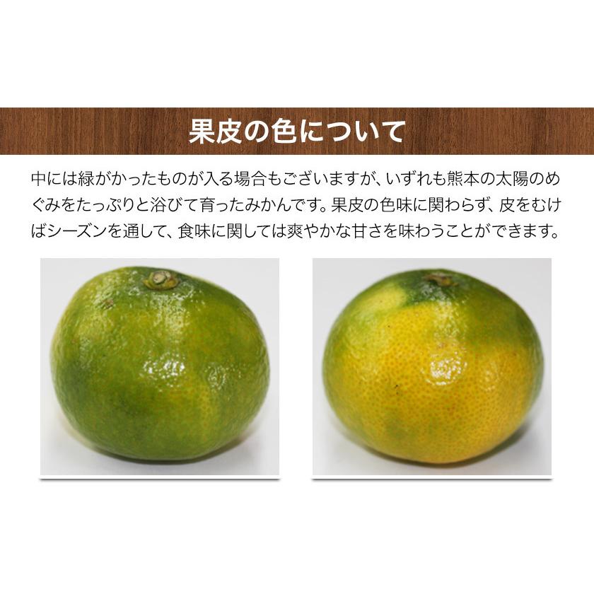国内発送】 熊本県産 小玉ハウスみかん 1.2kg 送料無料 s~2s 2s sサイズ フルーツ 柑橘 みかん 九州 産地直送 《7月上旬〜7月末頃より発送予定》 国内発送】 熊本県産 小玉ハウスみかん 1.2kg 送料無料 s~2s 2s sサイズ フルーツ 柑橘 みかん 九州 産地直送 《7月上旬〜7月末頃より発送予定》