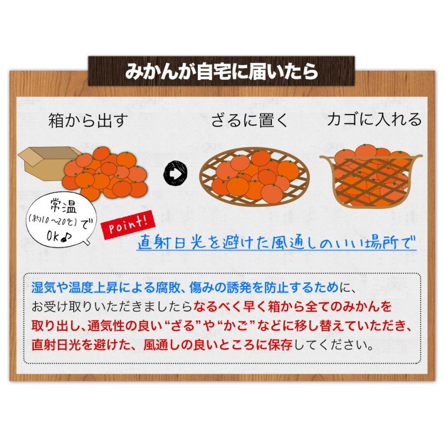 2セット以上でおまけ付き 訳あり 1.5kg 熊本 みかん 送料無料 おまけ 最大約 10kg フルーツ フードロス 食品ロス 産地直送品 果物 くまモン 箱 ご家庭用｜kumamotofood｜20