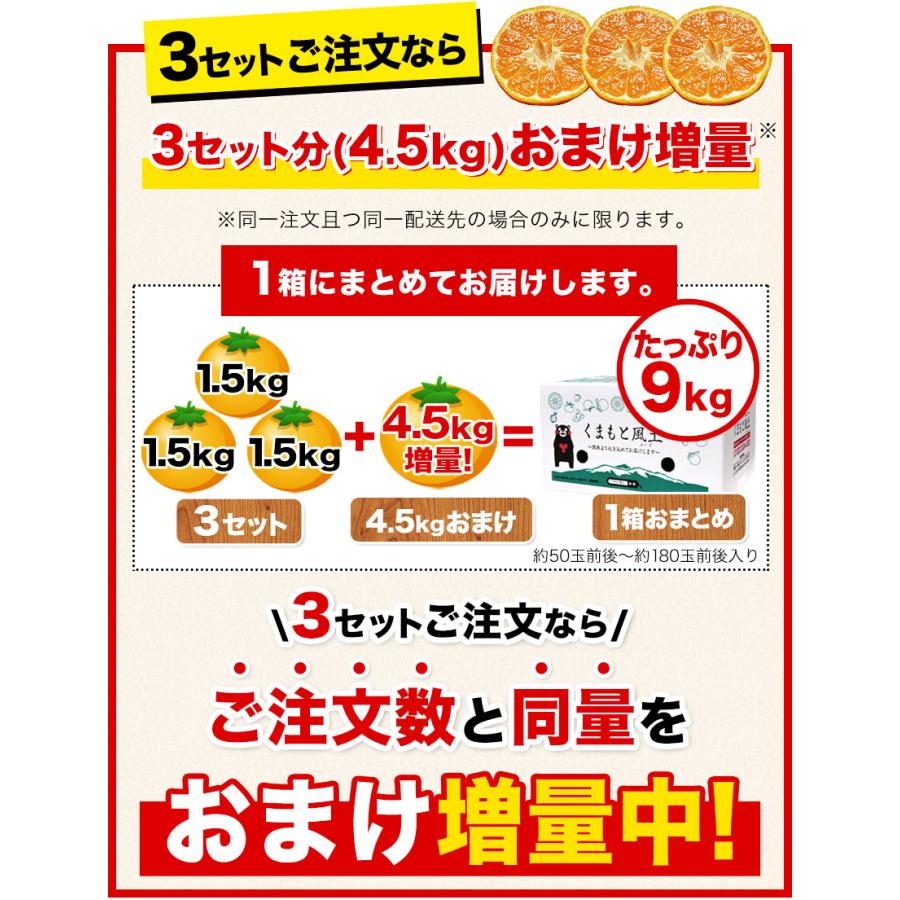 2セット以上でおまけ付き 訳あり 1.5kg 熊本 みかん 送料無料 おまけ 最大約 10kg フルーツ フードロス 食品ロス 産地直送品 果物 くまモン 箱 ご家庭用｜kumamotofood｜07