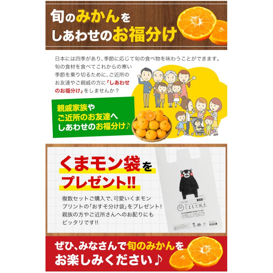 小玉 みかん 訳あり ご家庭用 送料無料 1.5kg 小粒 ミカン 柑橘 熊本 極早生 3s-sサイズ 家庭用 7-14営業日以内に出荷予定(土日祝日除く)｜kumamotofood｜09