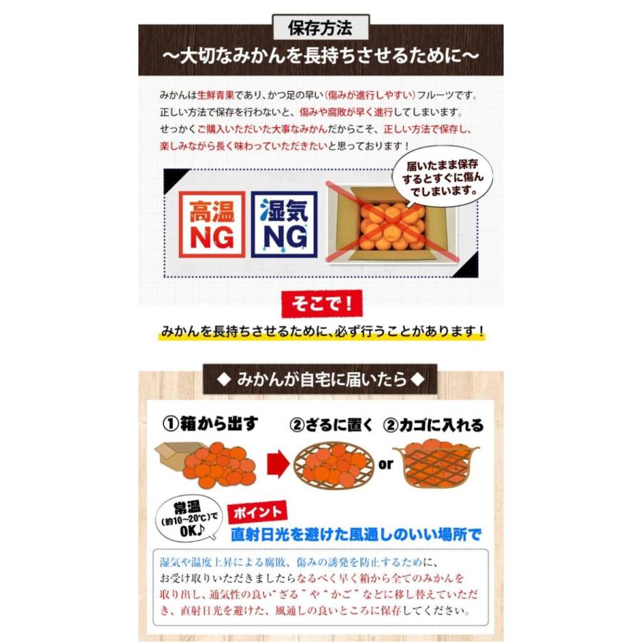 小玉 みかん 訳あり ご家庭用 送料無料 1.5kg 小粒 ミカン 柑橘 熊本 極早生 3s-sサイズ 家庭用 7-14営業日以内に出荷予定(土日祝日除く)｜kumamotofood｜16