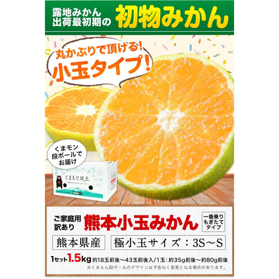 愛媛県産  極早生みかん 小玉 4.5K以上5K未満  柑橘 みかん 果物