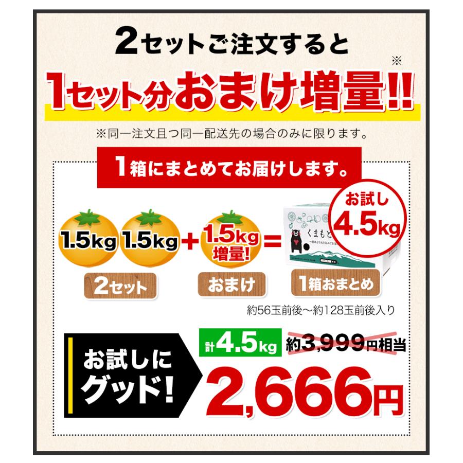 小玉 みかん 訳あり ご家庭用 送料無料 1.5kg 小粒 ミカン 柑橘 熊本 極早生 3s-sサイズ 家庭用 7-14営業日以内に出荷予定(土日祝日除く)｜kumamotofood｜06