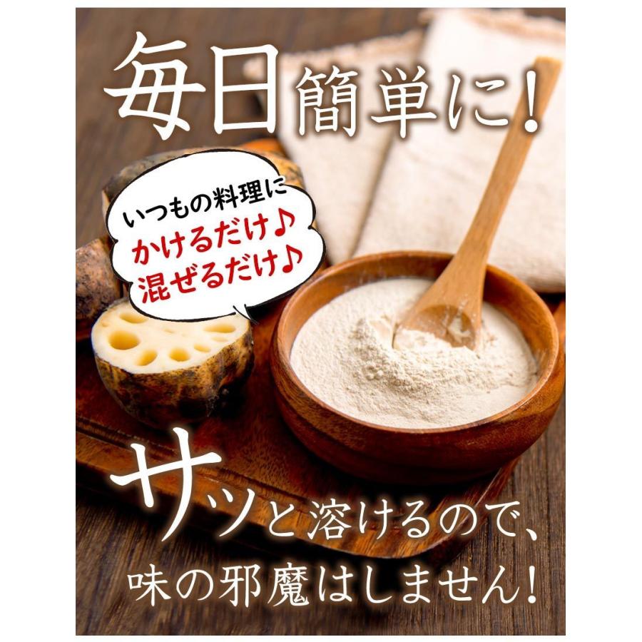 レンコンパウダー レンコン 蓮根 100g 送料無料 野菜 根野菜 国産 熊本県産 国産 栄養満天 れんこん 粉末 粉末タイプ 7-14営業日以内に出荷予定(土日祝日除く)｜kumamotofood｜04