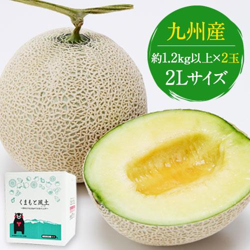ギフト 九州産 マスクメロン 2玉 秀品 送料無料 贈答 2Lサイズ ギフト 九州産 マスクメロン 2玉 秀品 送料無料 贈答 2Lサイズ