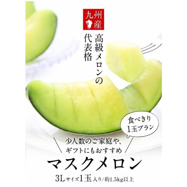 ギフト 九州産 マスクメロン 秀品1玉  3Lサイズ 約1.5kg以上 送料無料 フルーツ 果物 高級 メロン 7-14営業日以内に発送予定｜kumamotofood｜02