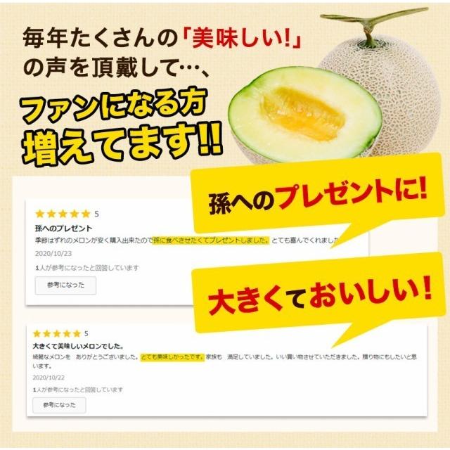 ギフト 九州産 マスクメロン 秀品 1玉 2Lサイズ 1.2kg以上 送料無料 メロン 高級メロン 果物 フルーツ 7-14営業日以内に出荷｜kumamotofood｜08