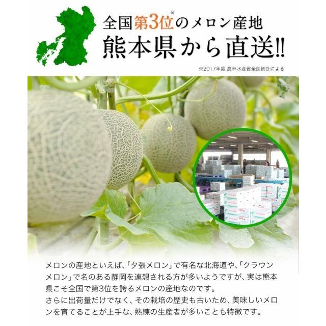 ギフト 九州産 マスクメロン 秀品 1玉 2Lサイズ 1.2kg以上 送料無料 メロン 高級メロン 果物 フルーツ 7-14営業日以内に出荷｜kumamotofood｜04