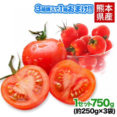 塩ミニトマト 約750g 約250g 3袋 送料無料 熊本県産 ミニ トマト プチ 産地直送 3箱購入で1箱おまけ クール便 7 14営業日以内に出荷予定 土日祝日除く Minishiotomato 1 くまもと風土 ヤフー店 通販 Yahoo ショッピング