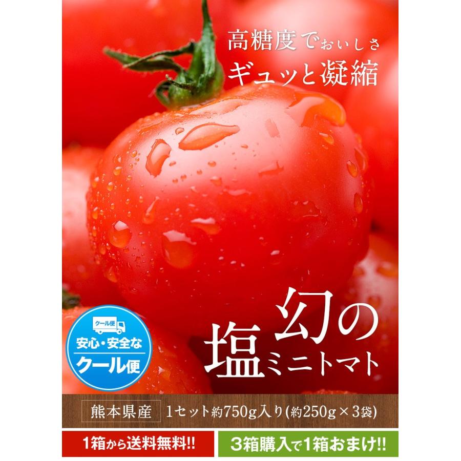 塩ミニトマト 約750g 約250g 3袋 送料無料 熊本県産 ミニ トマト プチ 産地直送 3箱購入で1箱おまけ クール便 7 14営業日以内に出荷予定 土日祝日除く Minishiotomato 1 くまもと風土 ヤフー店 通販 Yahoo ショッピング