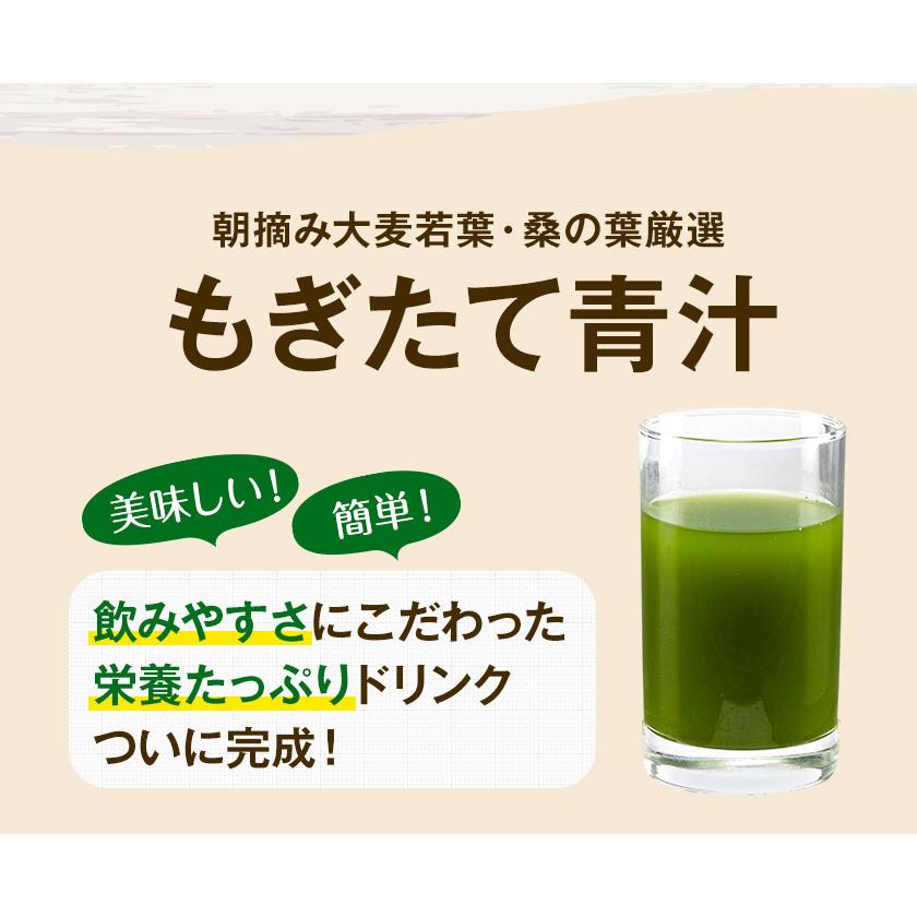 青汁 国産 乳酸菌 大麦若葉 もぎたて 青汁 たっぷり30包（1包3g） 送料無料 飲みやすい 14時までの注文で当日出荷 |｜kumamotofood｜11