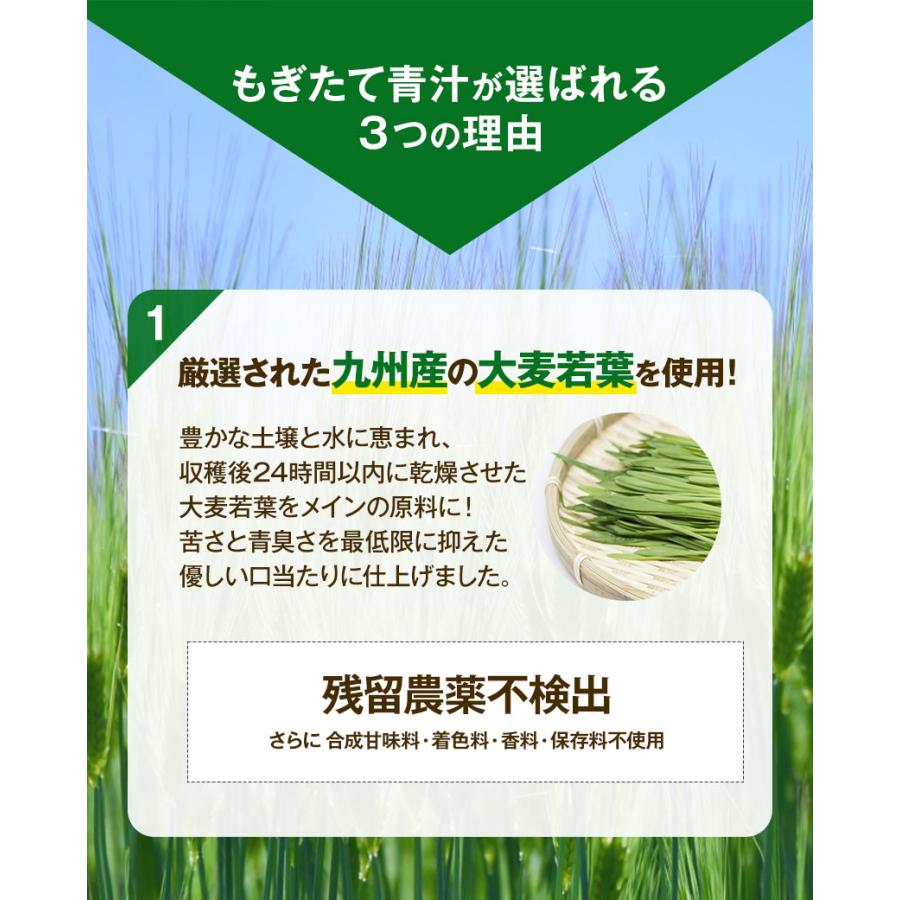 青汁 国産 乳酸菌 粉末 お試し 大麦若葉 九州産 もぎたて たっぷり30包