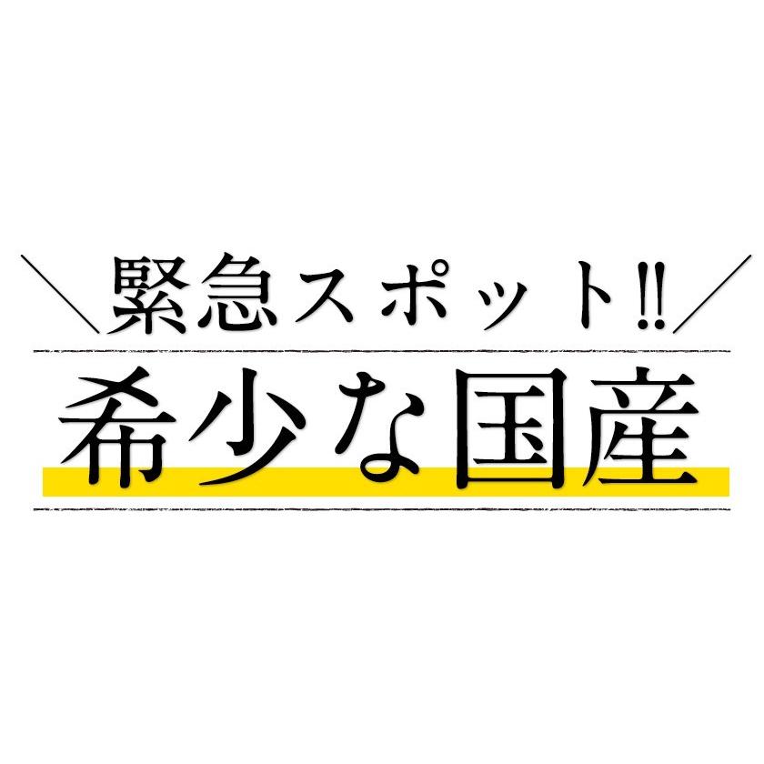 国産 おからパウダー 超微粉 1袋 300g 送料無料 国内製造 低糖質 ダイエット 食物繊維 大豆 高タンパク 乾燥おから 3-7営業日以内に出荷(土日祝除く) ｜｜kumamotofood｜02