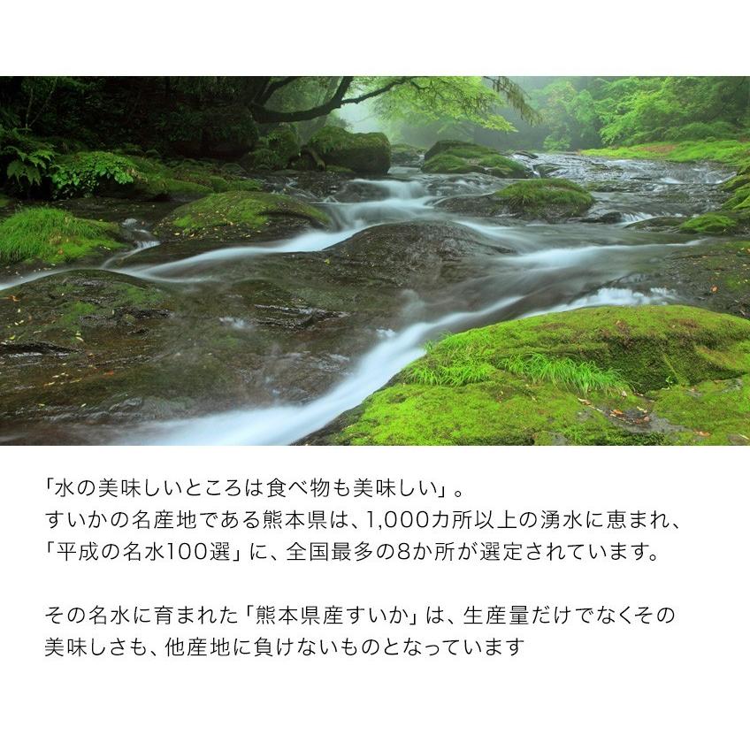 熊本県産 訳あり 大玉 すいか スイカ 1玉  送料無料 6kg以上 産地直送 生産量日本一 大きい 大玉 7-14営業以内発送予定(土日祝除く)｜kumamotofood｜10