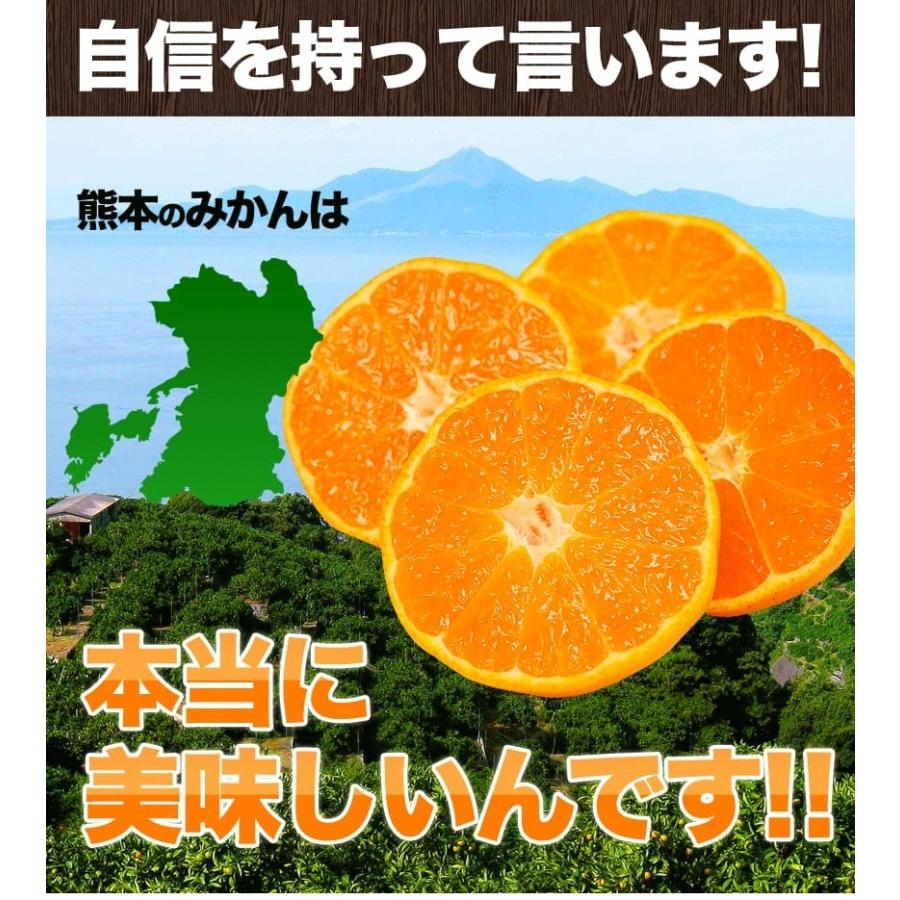 2セット以上でおまけ付き みかん 訳あり 大粒 大玉 1.5kg 送料無料 ミカン 旬 フルーツ 柑橘 果物 熊本産 熊本 7-14営業以内発送予定(土日祝除く)｜kumamotofood｜13