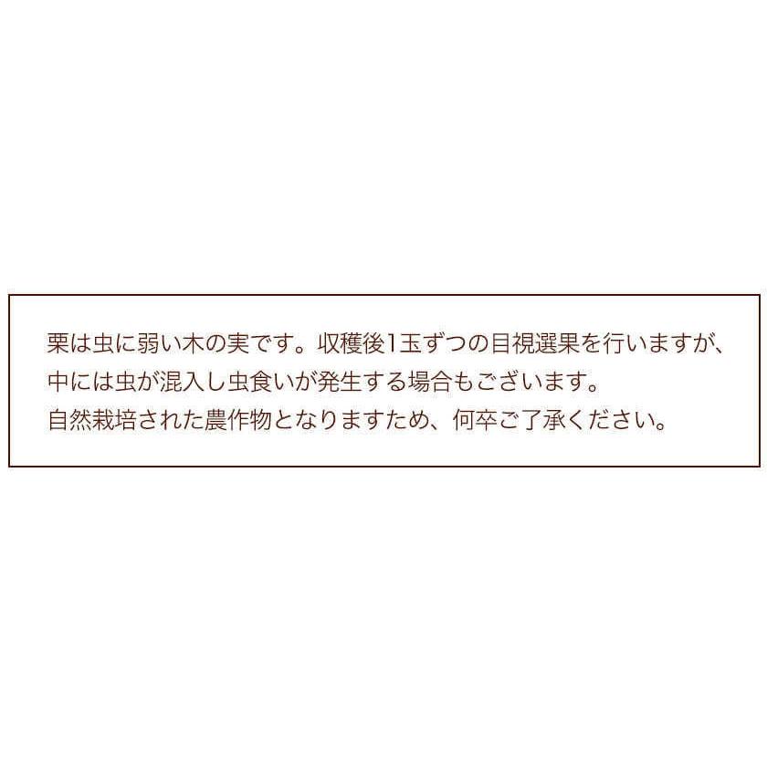 栗 利平栗 送料無料 訳あり 1.5kg 2L~Lサイズ 高級和栗 秋の味覚 モンブラン 1-5営業日以内に出荷予定(土日祝除)｜kumamotofood｜17