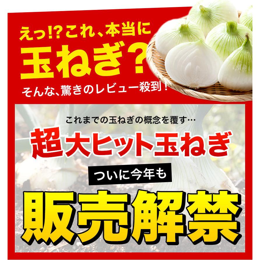 大玉ちゃん 10kg まる2箱同梱　28日以降発送 大玉ちゃん 10kg まる2箱同梱 28日以降発送 楽天市場