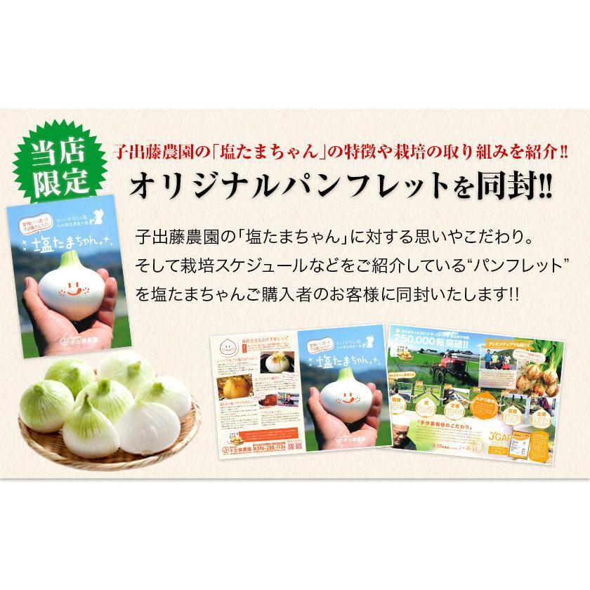 塩たまちゃん 送料無料 3kg 熊本県産 子出藤さん の 塩タマネギ 新たまねぎ 塩玉ちゃん 野菜 玉ねぎ 6月中旬 6月下旬頃より発送予定 Shiotama 1 くまもと風土 ヤフー店 通販 Yahoo ショッピング